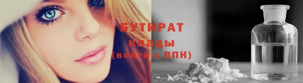 шишки Надым