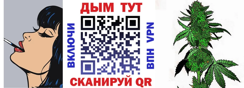 Конопля гибрид Мценск