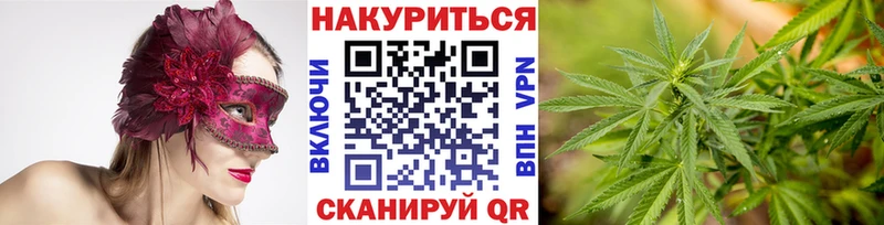 Бошки марихуана VHQ  Купить  Мценск 